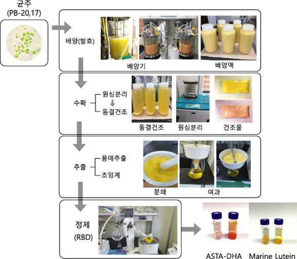 PB-20, PB-17 lab scale 제조 공정 모식도