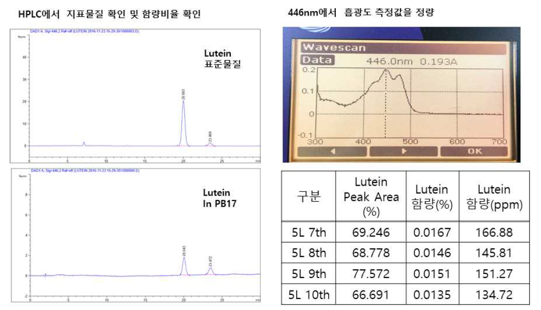 PB-17 균주 배양 결과