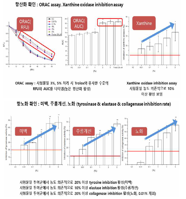 PB-17 유효성 평가 (항산화&항노화)