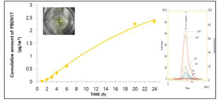 PBNE17 80% ethanol franz diffusion cell penetration 후 HPLC 결과 및 누적 투과량