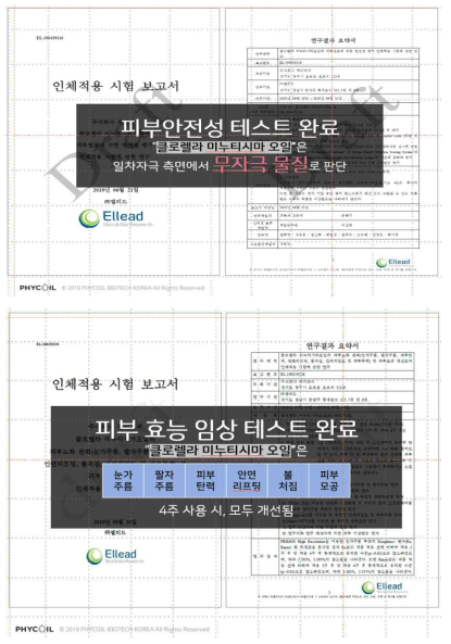 안전성, 유효성 검증 보고서