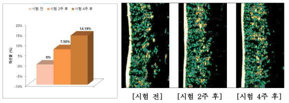 피부 치밀도 개선율 & 피부치밀도 개선 이미지