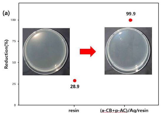 (a) resin, (a-CB+p-AC)/resin 샘플의 항균성 평가 결과