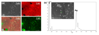 a-AC/Ag hybrid compound의 EDS; (a) 분석mapping image, (b) point 분석