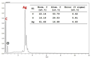 a-AC/Ag 하이브리드 입자의 EDS 분석 결과