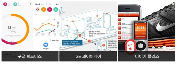 웰니스 IT 산업의 대표적인 사례