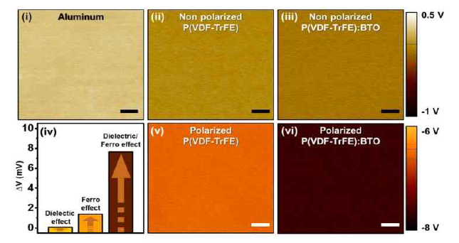 P(VDF-TrFE)+BTO KPFM 및 Poling에 따른 비교 분석(Surface charge)