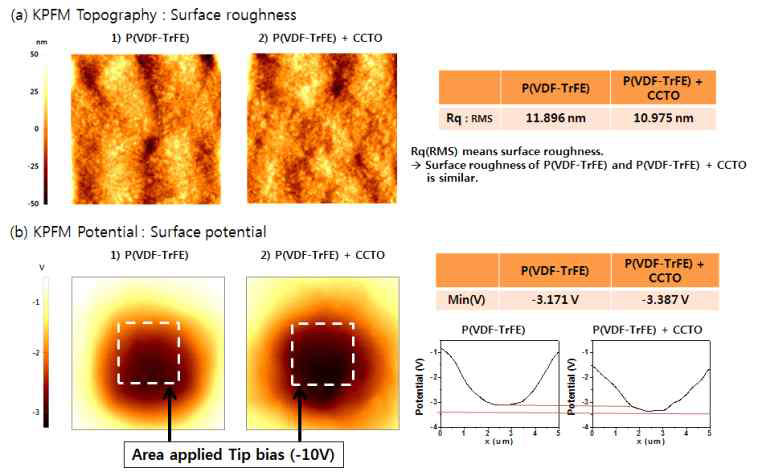 P(VDF-TrFE)+CCTO composite 필름 KPFM 및 마찰 특성 비교분석