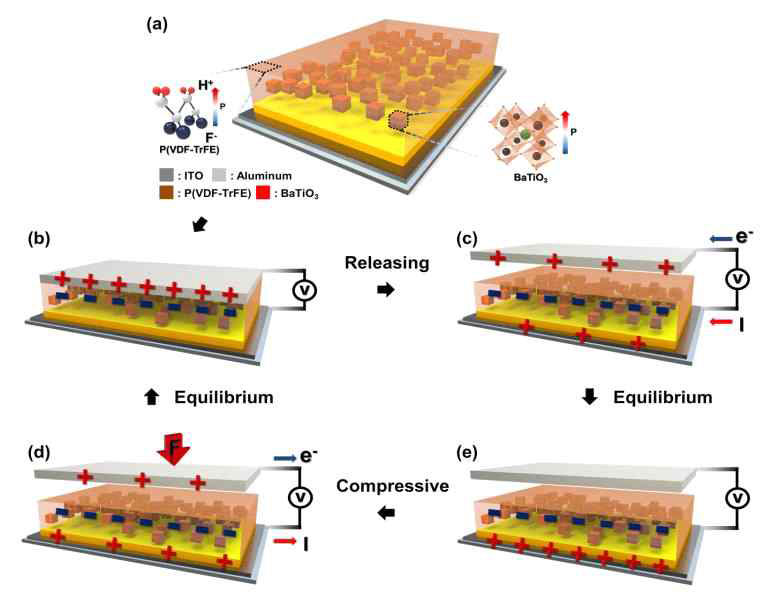P(VDF-TrFE)+BTO의 구동원리