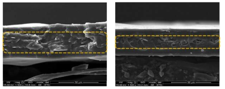 mB #1(좌), mB #3(우) (표면처리 후) 필름 파단면의 SEM 사진