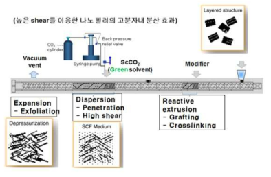 압출기 내 초임계 CO2를 이용한 나노입자의 분산