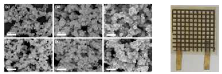 Silver trifluoroacetate 10wt%, 20wt%, 30wt% 일 때 형성된 전극의 SEM Image와 필름 상에 형성시킨 silver wire의 실제 모습