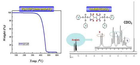 BP-DP의 TGA 및 NMR 분석 결과