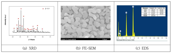 합성한 β-TCP의 XRD, SEM 및 EDS 분석 결과