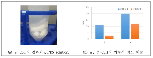 α-CSH와 β-CSH의 물리화학적 특성 비교