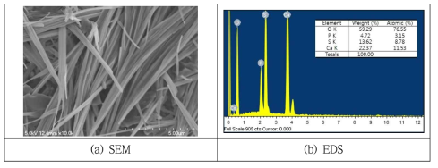 CPC의 SEM-EDS 측정 결과 (DA-0)
