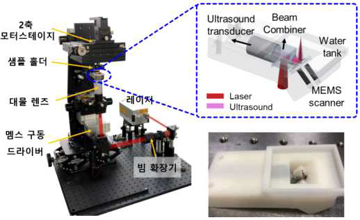 최적화된 수술용 광음향 조직검사 장치