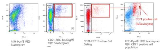 CD marker 이용하여 Reticulocyte population 확인