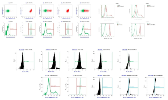 연구용 형광 CD 항체 개발을 FACS 분석 예시