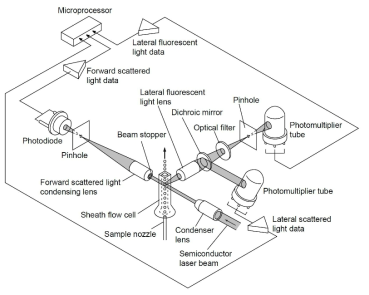 flow cytometry 기법이 적용된 장치 모식도