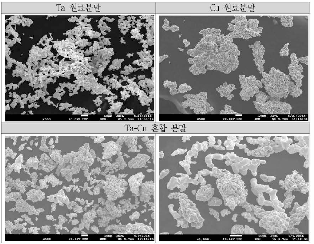 원료분말 및 단순 회전 혼합 후 Ta-Cu FE-SEM 형상