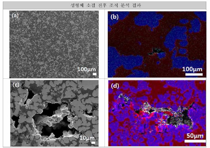 Ta50Cu50 유지가압 성형체 소결 전후 조직 분석 (a) 소결 전 SEM，(b) 소결 전 EDS，(c) 소결 후 SEM，(d) 소결 후 EDS