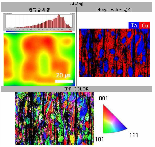 신선재의 EBSD 분석 결과