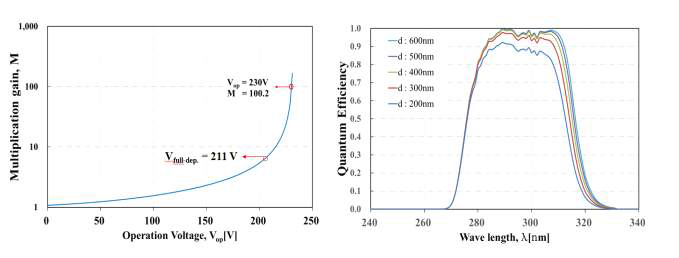 설계 구조 Gain 및 PD 흡수층 두께에 따른 양자효율