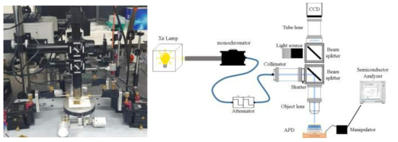 (좌) APD 측정 셋업. (우) 정밀 측정을 위한 광 측정 환경 모식도