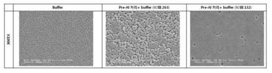 SiC기판위에 성장된 AlN의 초기성장 SEM 사진