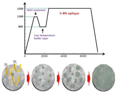 사파이어 기판위에 성장한 BN의 성장조건 및 모식도