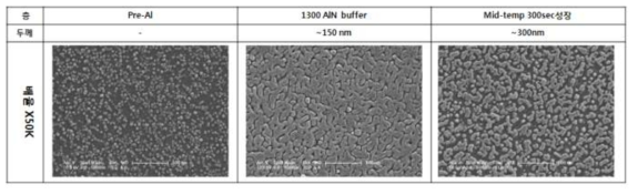 사파이어 기판위에 중간온도층을 삽입하여 성장된 AlN의 초기성장 SEM