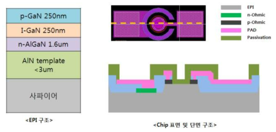 UVA PIN EPI 성장 구조 및 Chip의 단면 및 표면 디자인