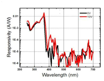 0V, 10V에서 측정한 분광감응도 그래프