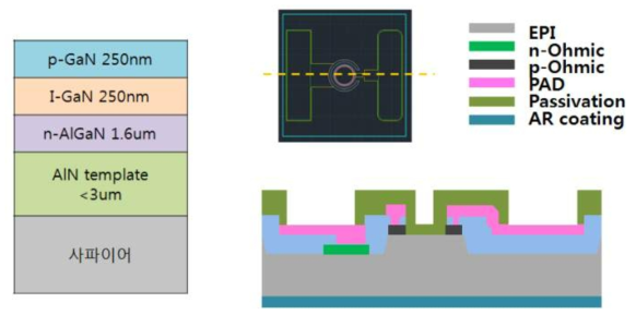 UVA PIN EPI 성장 구조 및 chip 디자인 및 단면