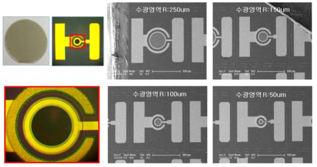 UVB APD 소자 Chip 공정 완료 현미경 및 SEM 측정 사진