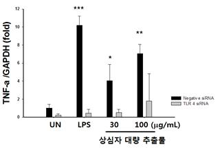 상심자 대량 추출물 처리에 다른 TNF-α 발현