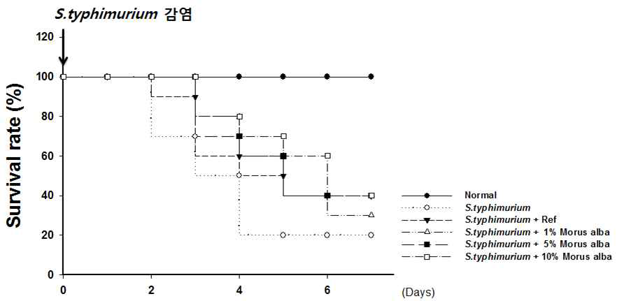 사료섭취 및 살모넬라 감염에 따른 생존율