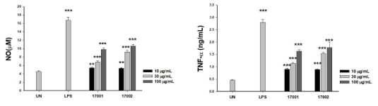 17001 및 17002의 NO 생성 및 TNF-α 분비