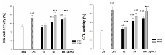 17001 및 17002의 NK세포 및 CTL 활성