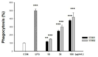 17001 및 17002의 대식세포 탐식능