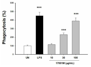 7001M에 대한 대식세포 탐식능