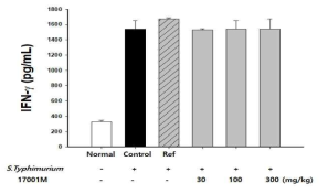 17001투여 및 살모넬라 감염에 따른 IFN-γ 분비
