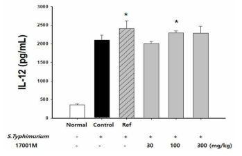 17001투여 및 살모넬라 감염에 따른 IL-12 분비