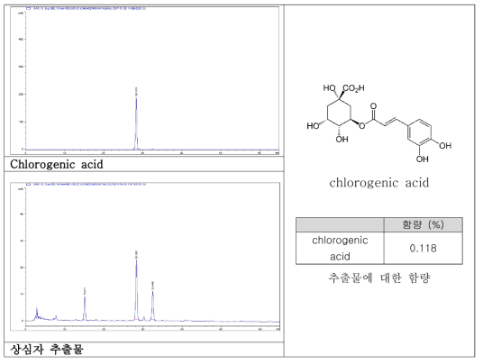 상심자추출물에서의 Chlorogenic acid함량 측정