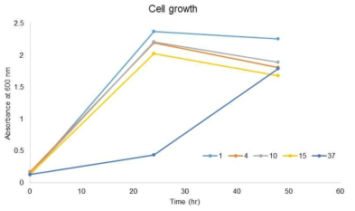 Agarase 생산 배지에서의 cell 성장도