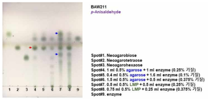 선별된 분해효소의 활성 확인 2