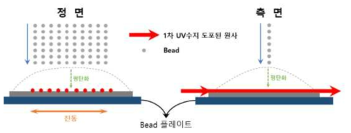 3차년도 Bead 코팅부 개선 모식도