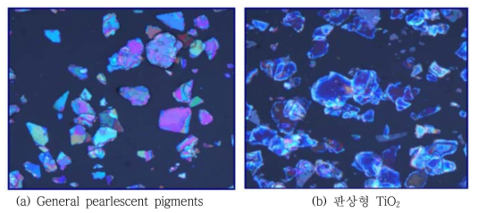 양산화에 적용된 TiO2 코팅된 합성마이카(a)와 판상형 TiO2(b) 현미경 사진