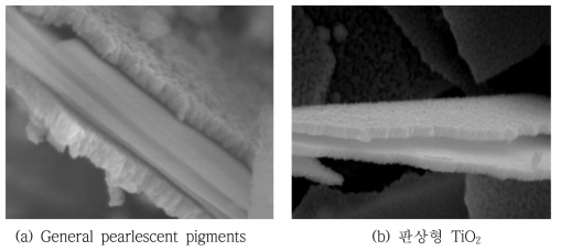 양산화에 적용된 TiO2 코팅된 합성마이카(a)와 판상형 TiO2(b) 전자현미경 사진